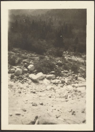  by Louis Fleckenstein