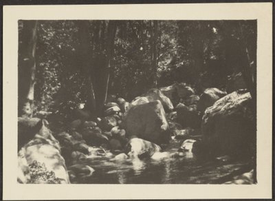  by Louis Fleckenstein