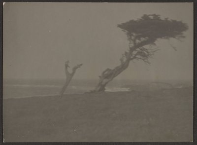  by Louis Fleckenstein