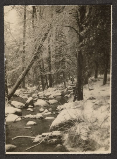  by Louis Fleckenstein