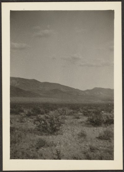  by Louis Fleckenstein