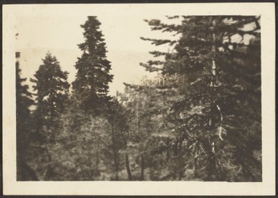 by Louis Fleckenstein