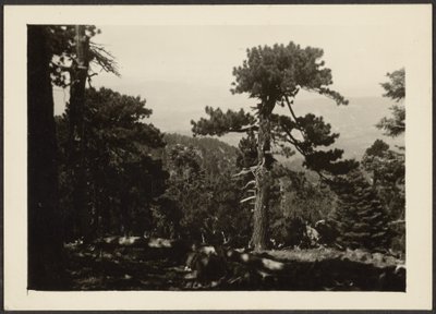  by Louis Fleckenstein