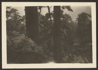  by Louis Fleckenstein