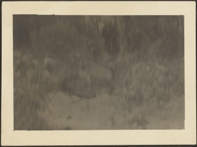  by Louis Fleckenstein