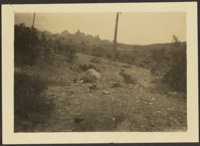  by Louis Fleckenstein