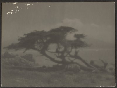  by Louis Fleckenstein