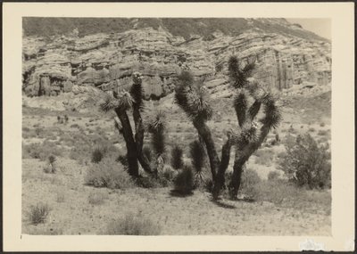  by Louis Fleckenstein
