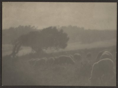  by Louis Fleckenstein
