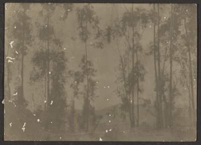  by Louis Fleckenstein