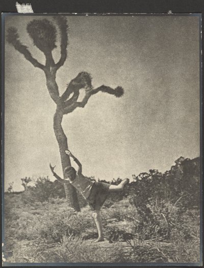Kıvrak ve Zarif - Dans Eden Joshua by Louis Fleckenstein