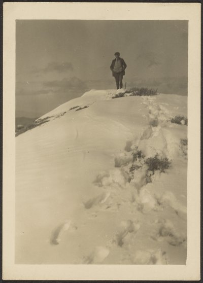  by Louis Fleckenstein