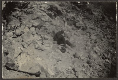  by Louis Fleckenstein