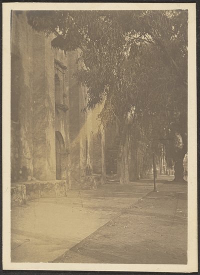  by Louis Fleckenstein