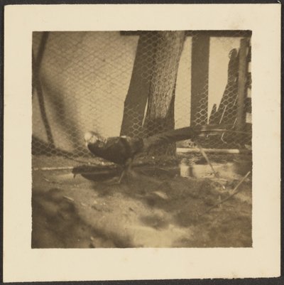  by Louis Fleckenstein