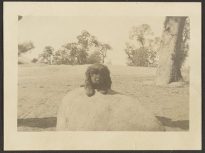  by Louis Fleckenstein