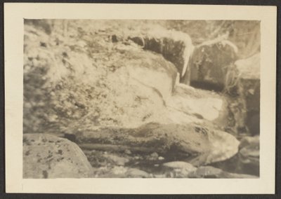  by Louis Fleckenstein