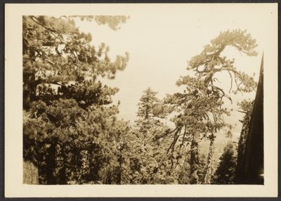  by Louis Fleckenstein