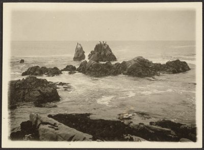  by Louis Fleckenstein