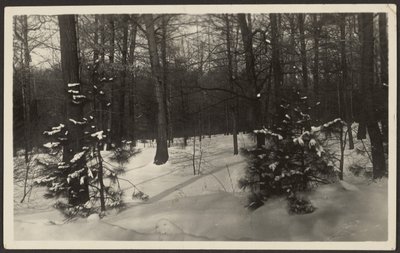  by Louis Fleckenstein