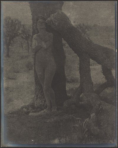  by Louis Fleckenstein