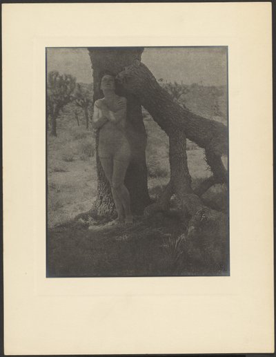  by Louis Fleckenstein
