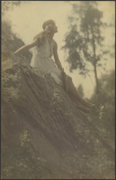  by Louis Fleckenstein