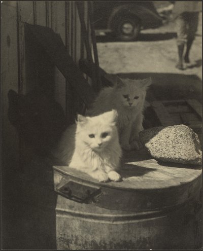  by Louis Fleckenstein