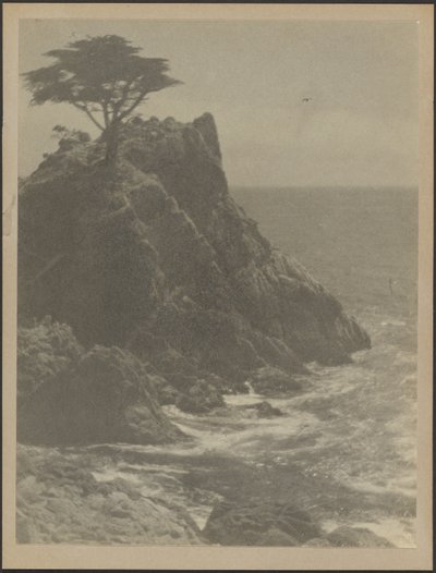  by Louis Fleckenstein