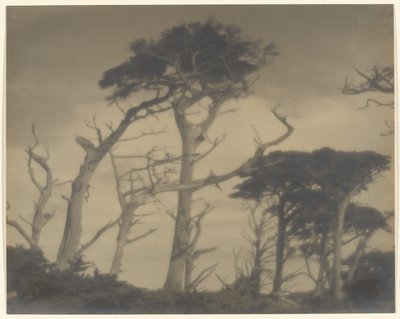  by Louis Fleckenstein