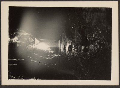  by Louis Fleckenstein