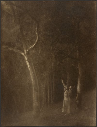  by Louis Fleckenstein