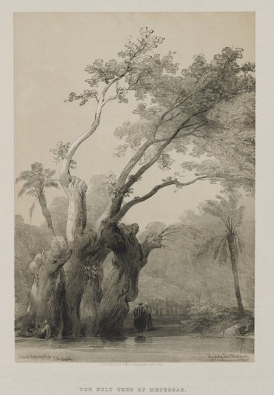 Mısır ve Nubia, Cilt III: Metereah Kutsal Ağacı, 1849. by Louis Haghe