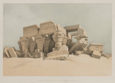 Mısır ve Nubia, Cilt II: Kom-Ombo by Louis Haghe