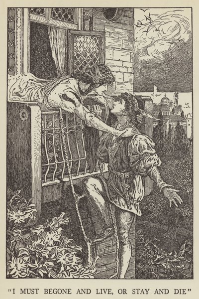Ya gitmeliyim ve yaşamalıyım ya da kalıp ölmeliyim by Louis John Rhead