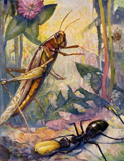  by Louis John Rhead