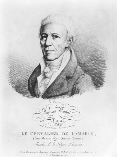 Jean-Baptiste de Monet (1744-1829) Chevalier de Lamarck