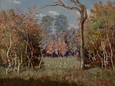  by Louis Michel Eilshemius