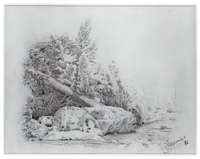 Düşmüş Ağaç, Keene Vadisi, 25 Temmuz 1883. by Louis Michel Eilshemius
