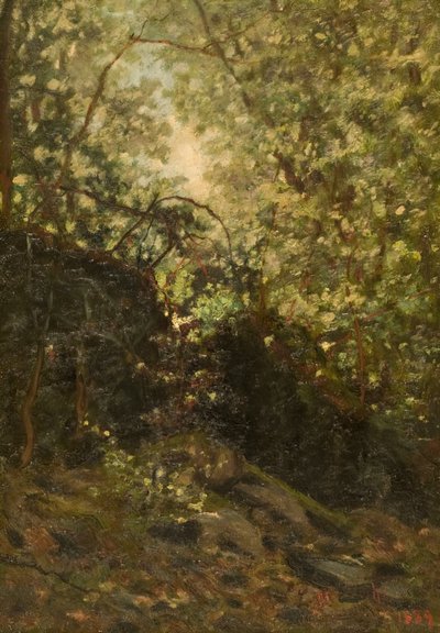 Ormanda Bir Gece, 1889. by Louis Michel Eilshemius