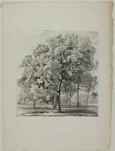 Ağaçların Çalışması by Louis Pierre Baltard