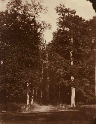 Saint-Cloud