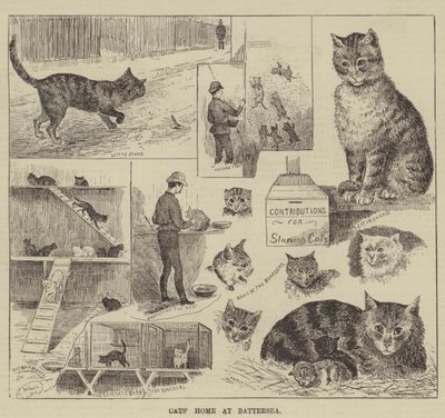 ಬ್ಯಾಟರ್‌ಸೀ ಟರ್ಕಿಯಲ್ಲಿ ಬೆಕ್ಕಿನ ಮನೆ by Louis Wain