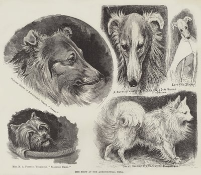 Dog Show at the Agricultural Hall  by Louis Wain