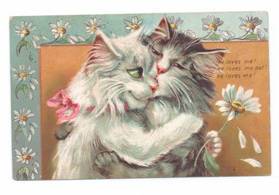 Birbirine sarılan iki kediyi gösteren Edward dönemi kartpostalı, 1910 dolayları by Louis Wain