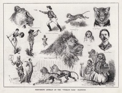 Islington, "Dünya Fuarı"nda Hayvan Gösterisi (gravür) by Louis Wain