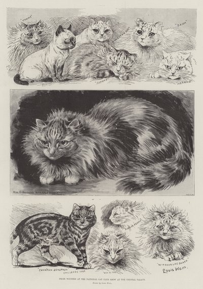 Crystal Palace'daki Ulusal Kedi Kulübü Gösterisinde Ödül Kazananlar by Louis Wain