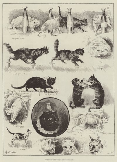 Profesör Fredericks'in Gösteri Yapan Kedileri by Louis Wain