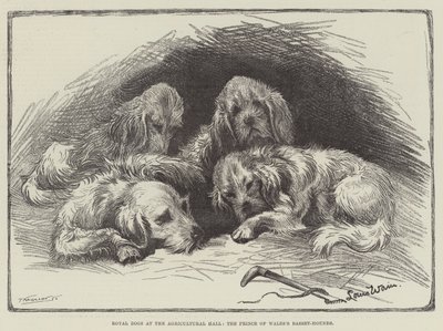 Tarım Salonundaki Kraliyet Köpekleri, Galler Prensi Basset-Hounds by Louis Wain