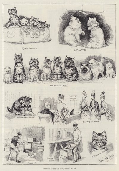 Cat Show